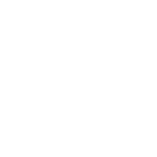 bing.png